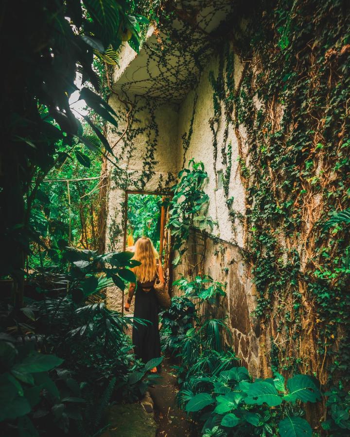 Lush Atitlan Hotell San Marcos La Laguna Exteriör bild